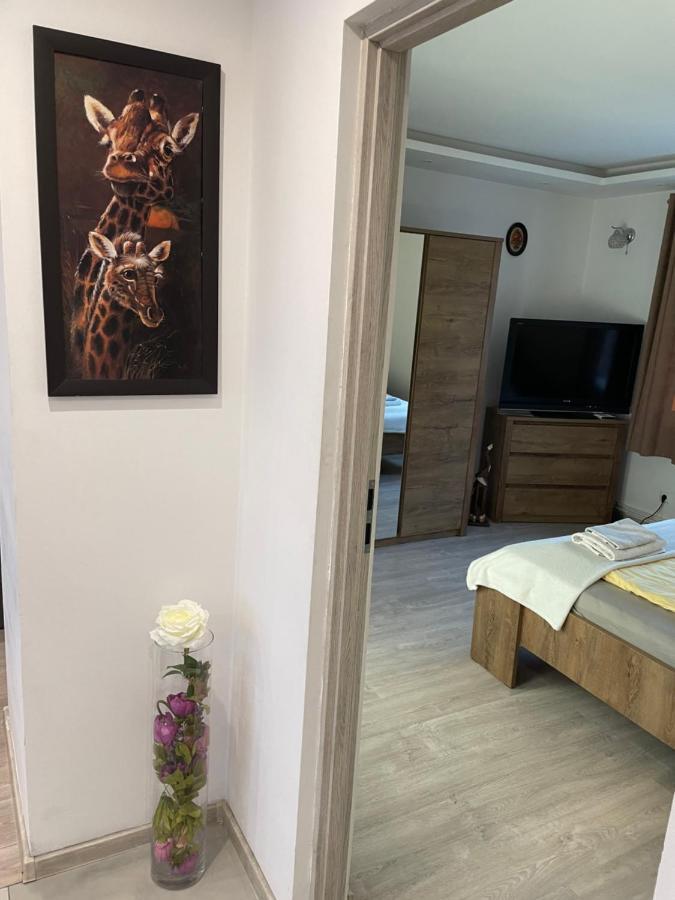 Prestige Apartament Elblag Exteriér fotografie